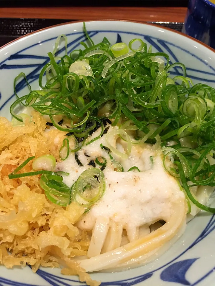 Snapdishの料理写真:丸亀製麺 とろろ醤油うどん|うえのぶさん