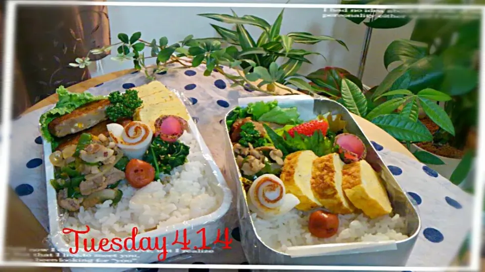 Snapdishの料理写真:Tuesday4.14  󾀂働く男弁当です󾬌|kimikimi󾬍さん