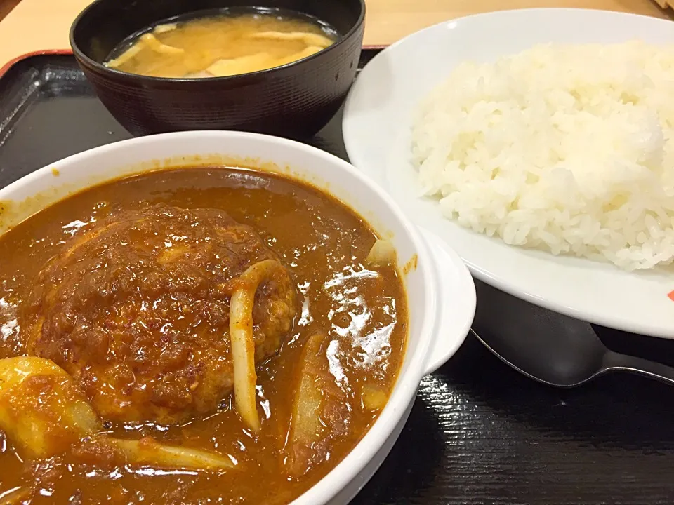 Snapdishの料理写真:煮込みハンバーグカレー|マハロ菊池さん