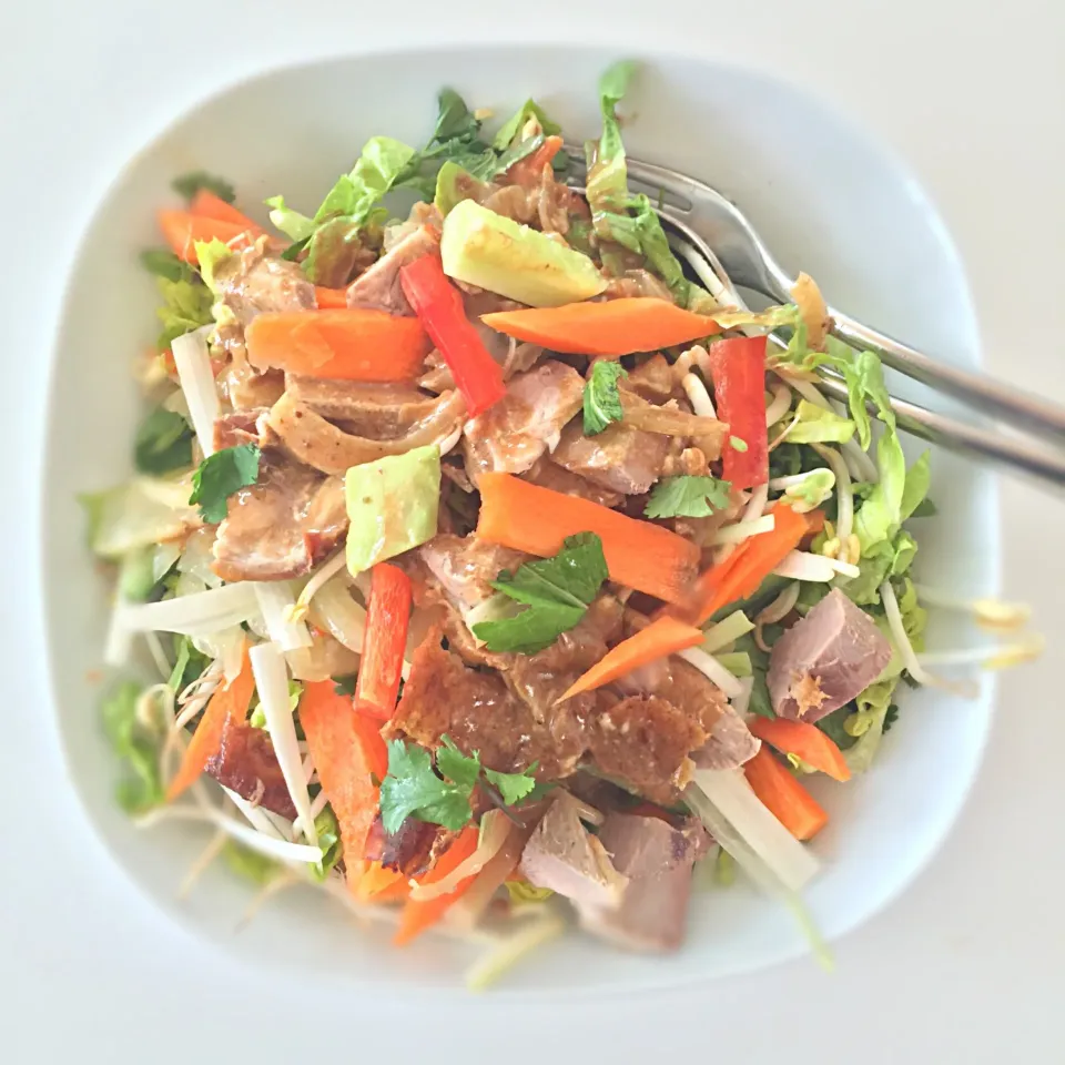 Snapdishの料理写真:Salad with peking duck and hoisin dressing|Liesbeth Maliepaardさん