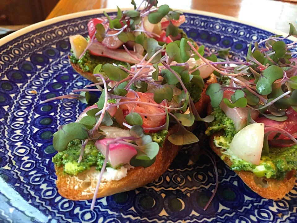 radish toasts with radishtop-pistachio-goat cheese pesto|Matthew Cashenさん