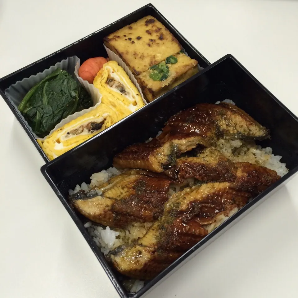 Snapdishの料理写真:弁当（うな重、厚揚げ、鰻巻き、焼き明太子、ほうれん草お浸し）|SasaMasa213さん