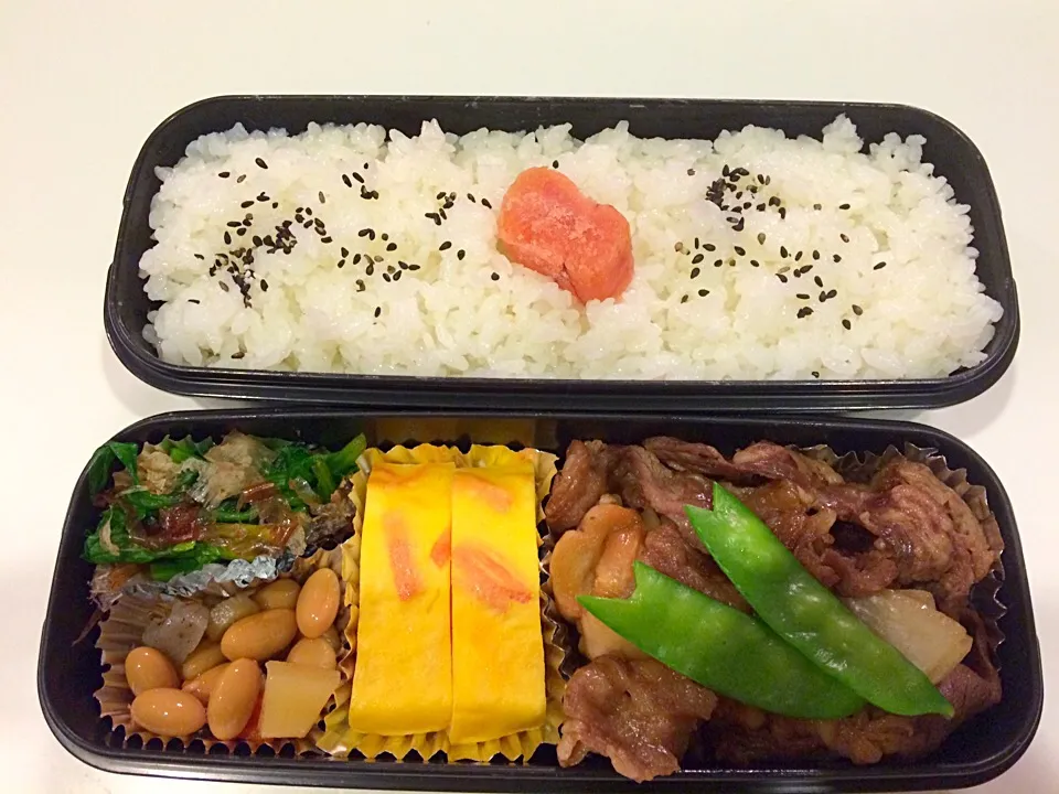 久しぶりのお弁当。牛すき弁当。|Chiharuさん