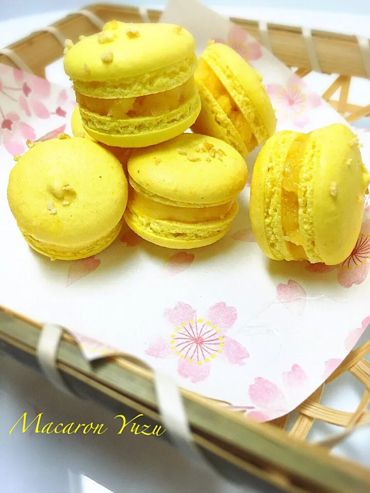 Macaron Yuzu|サクラさん