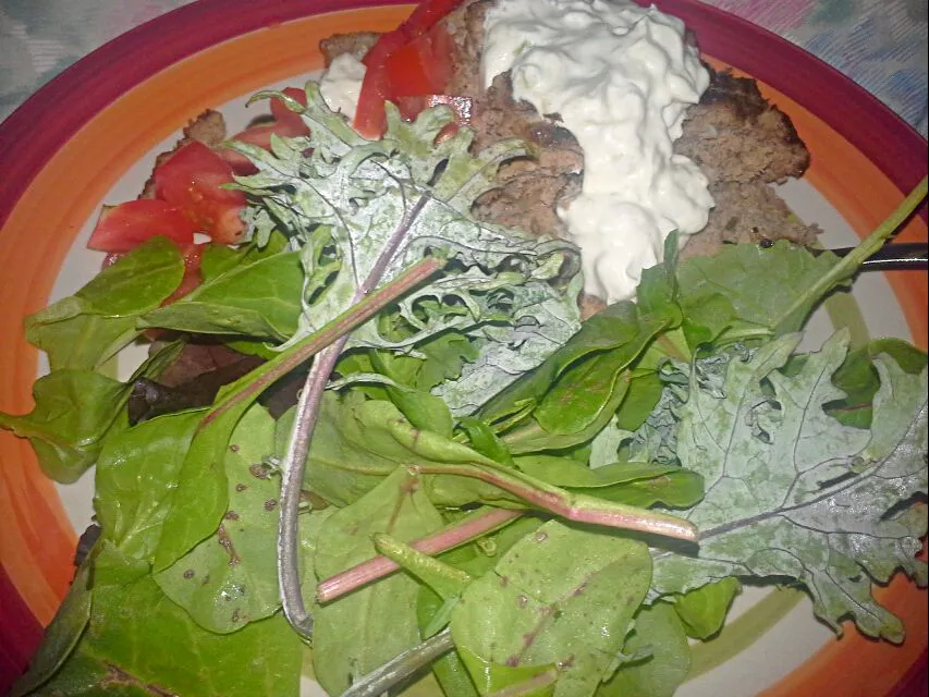 Gyro without the pita bread plus some yummy greens|Dawn Nelsonさん