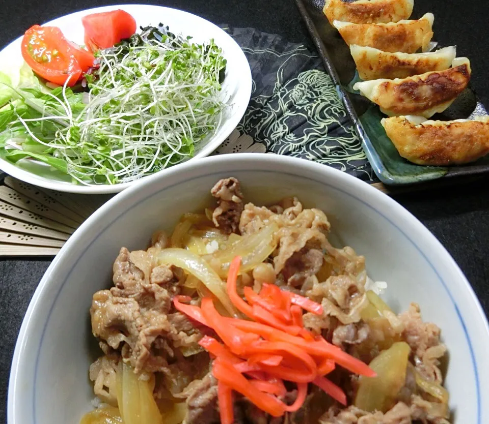 晩ご飯  牛丼  餃子  野菜|Hiroshi  Kimuraさん