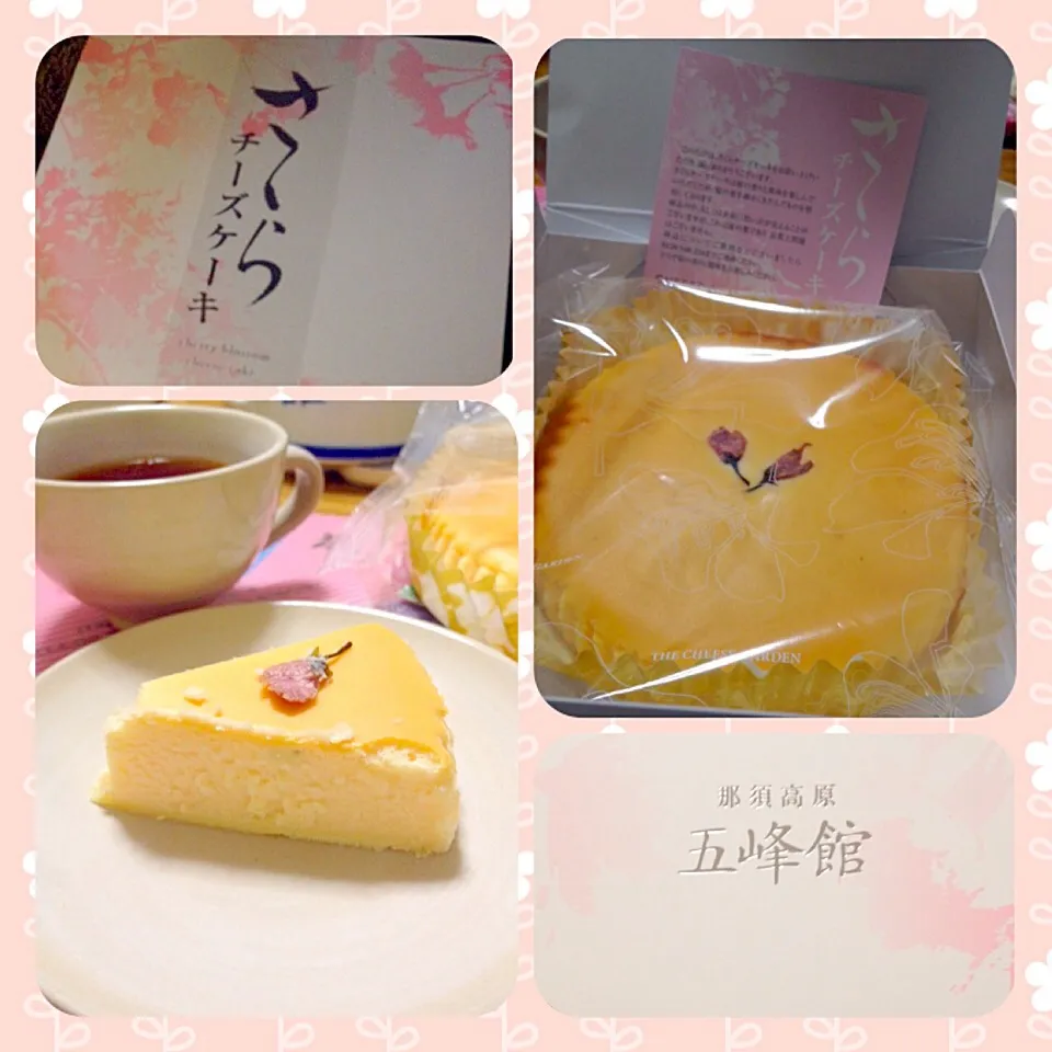 Snapdishの料理写真:4/13 那須CHEESE GARDEN さくらチーズケーキ|kykyさん