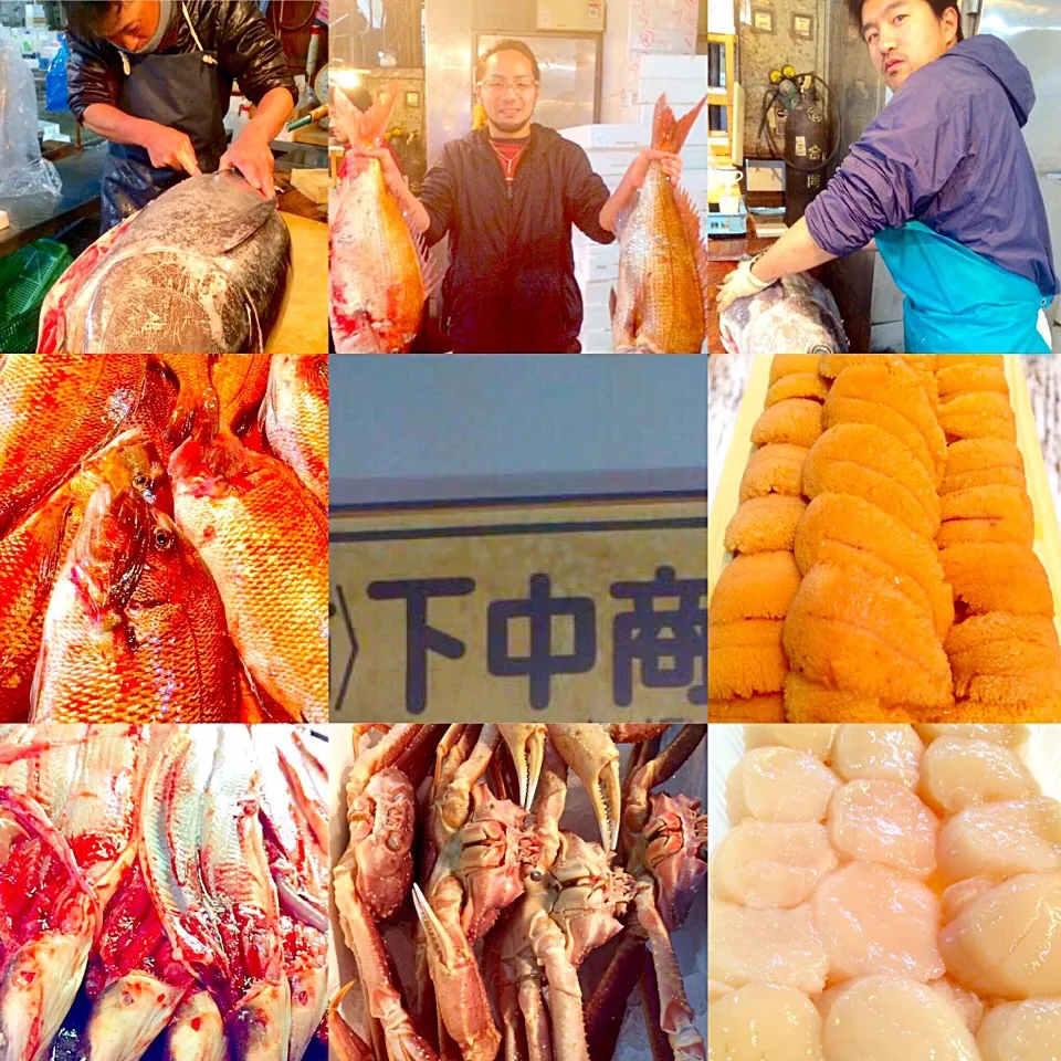 姫路中央卸売市場・有限会社 下中商店の鮮魚✨✨✨|Toru Satoさん