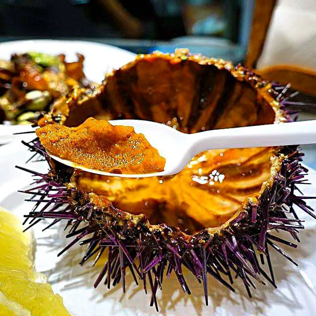 sea urchin|CHUENCHAIさん