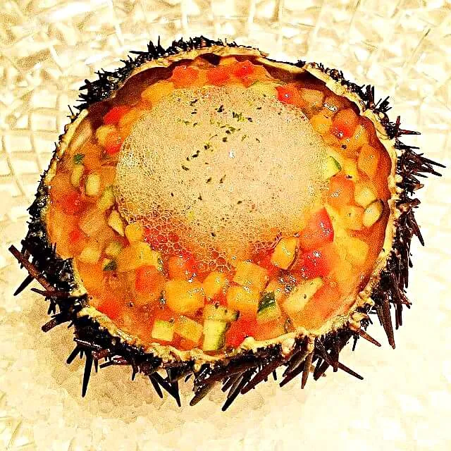 sea urchin with tomato and zucchini|CHUENCHAIさん