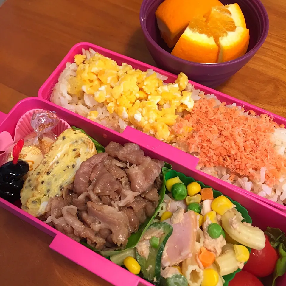 2015/4/16 お弁当|lisataroさん