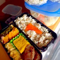 Snapdishの料理写真:1日2食のお弁当は大変です。所要時間30分|毛玉ヨメさん