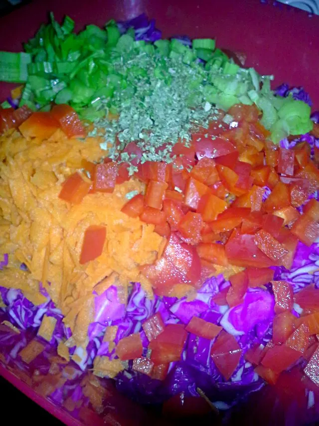 Cabbage Rainbow salad|Dawn Nelsonさん