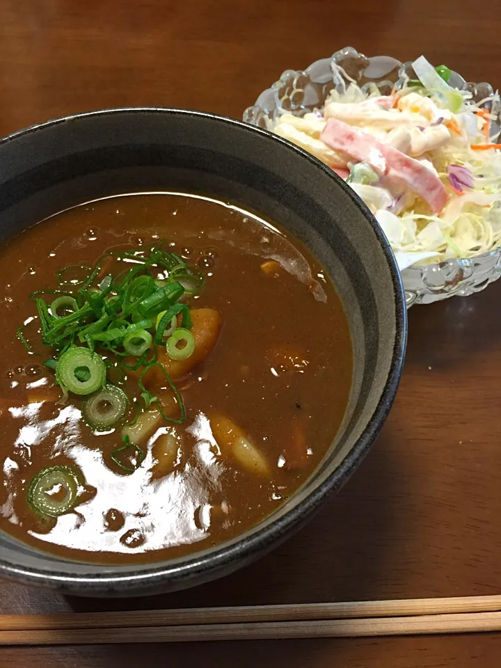 カレーうどん|愛ペガさん