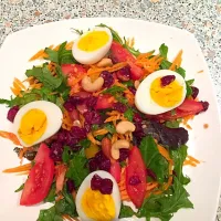 Greens with tomatoe nuts cranberries and egg salad|Glad Narayanさん