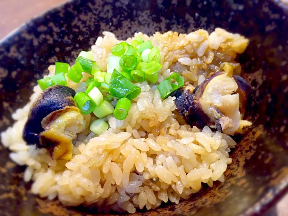 さざえの炊き込みご飯🐚|おかっぴーさん