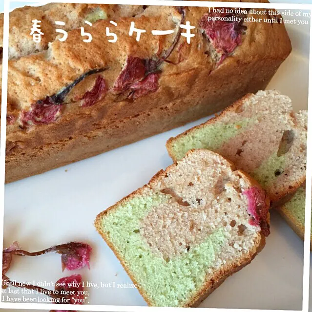 Snapdishの料理写真:春うららケーキ|sonokoさん