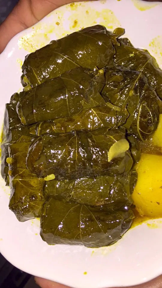 Grape leaves the saurian way|najlaさん