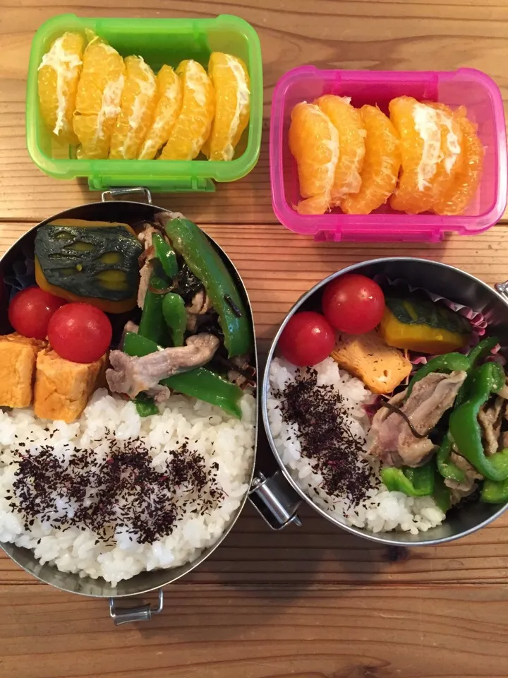 ピーマンと豚コマの塩昆布炒め  玉子焼き  南瓜炊いたん  ミニトマト  はっさく|かわまきまきさん