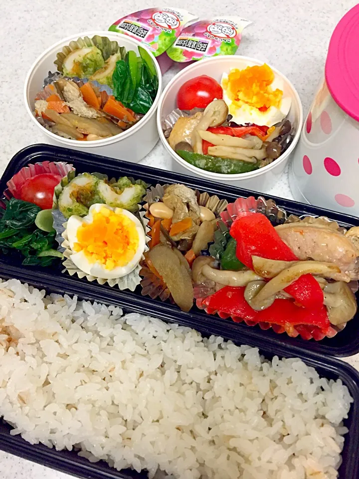 4/17今日の兄妹弁当|asayanさん