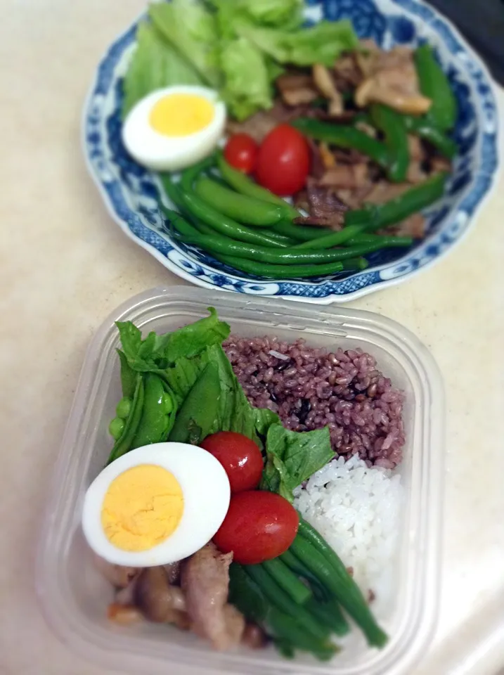 Today's lunch box & plate. 寝坊して7時起き(^^; ちまちま詰める時間なくてこうなったw|hoppycowさん