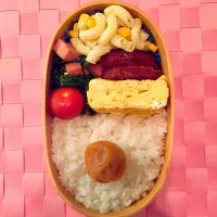 Snapdishの料理写真:マカロニサラダのお弁当♪|あーちゃんさん