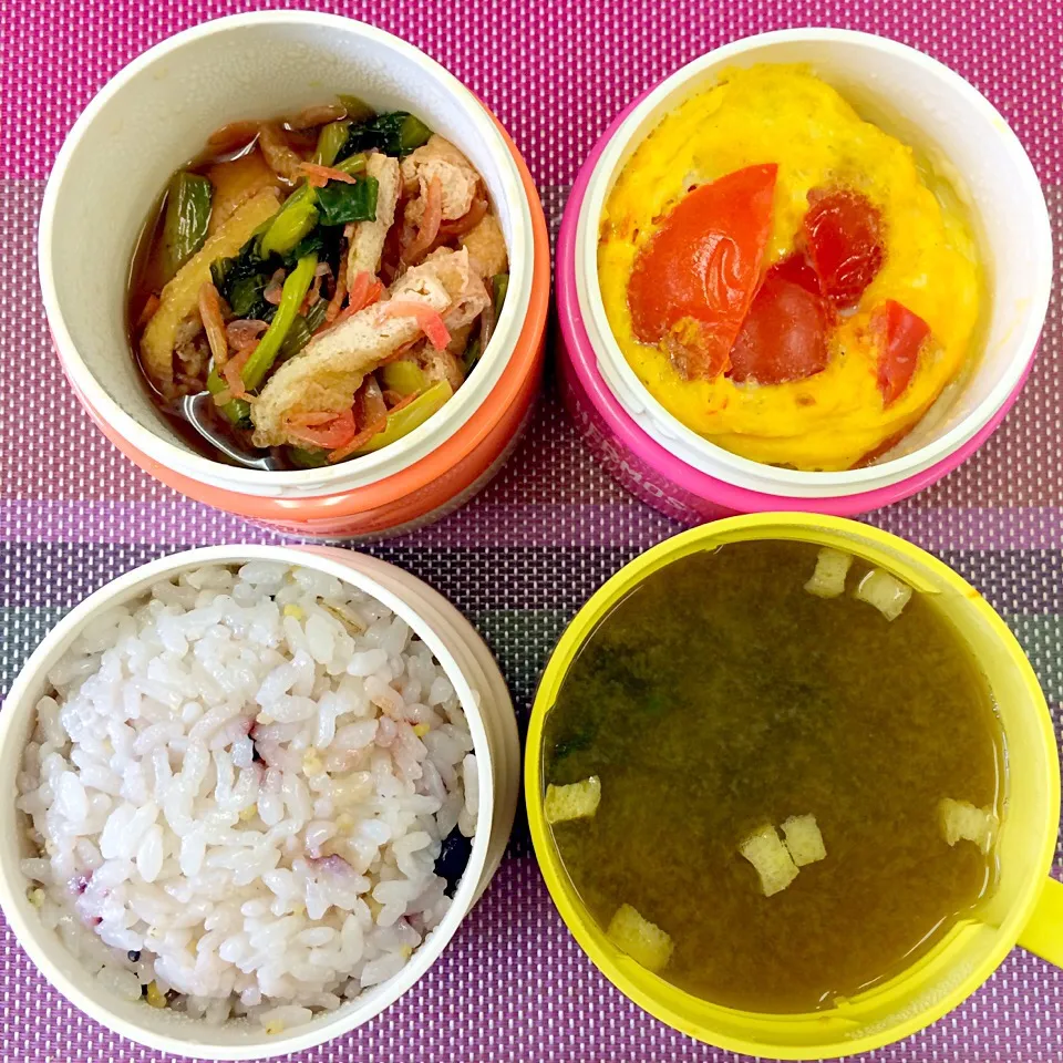 トマトのチーズココットと小松菜と油揚げ、桜えびの煮物の一汁二菜弁当|Yamada Niraさん