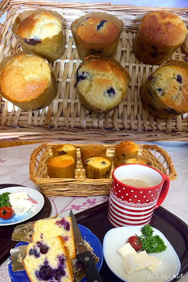 #blueberry lemon muffin#morning glory#breakfast on the table ☕️☕️☕️ with cream cheese on the top heavenly 😍✨|Babyluv Cabrera Ocampoさん