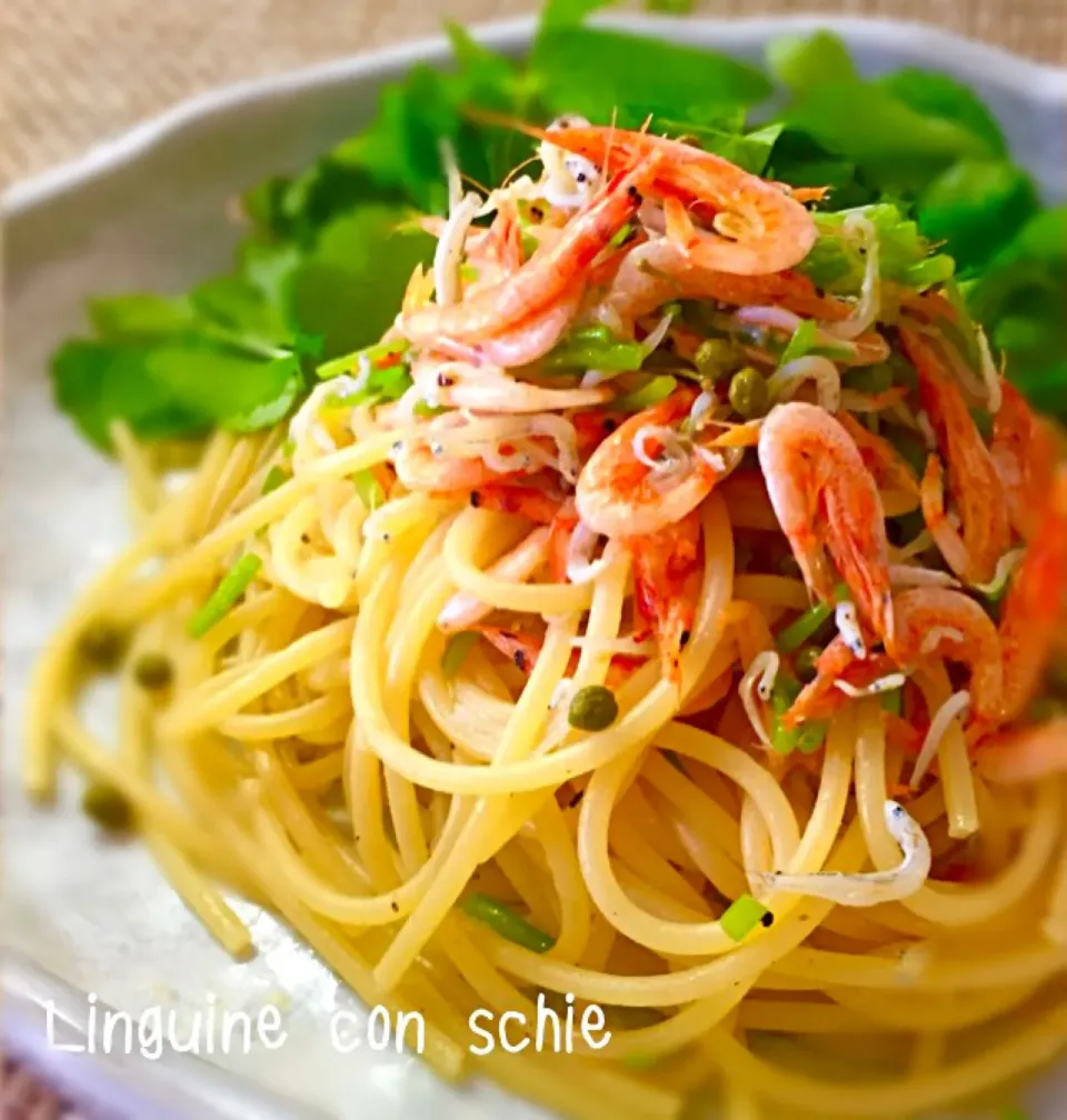 この時期必ず作りたくなる桜海老のパスタ🍝 実山椒と…やはりユズスコで😬|Cedro🍋さん