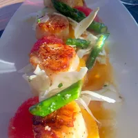 Pan seared scallops a top polenta garnished with ruby red grapefruit, asparagus and fennel|MsSaltybさん