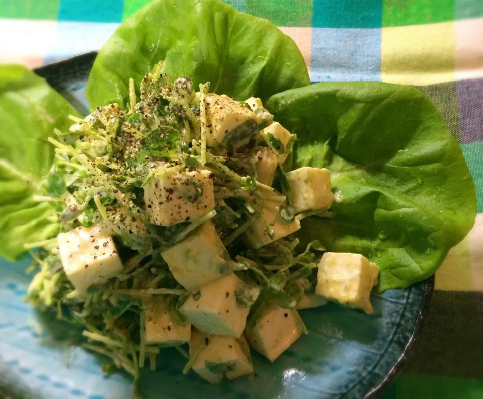 Snapdishの料理写真:アボカドとはんぺんと豆苗のサラダ|ぷっくりんこ💙さん