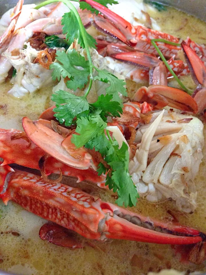 Creamy Coconut Crab with Coriander & Bird Eye Chili|Joha Hassanさん