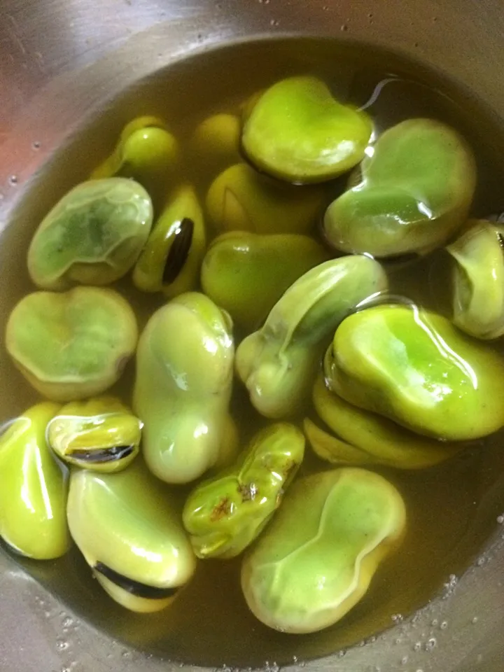 Broad beans in dashi|Nigelさん