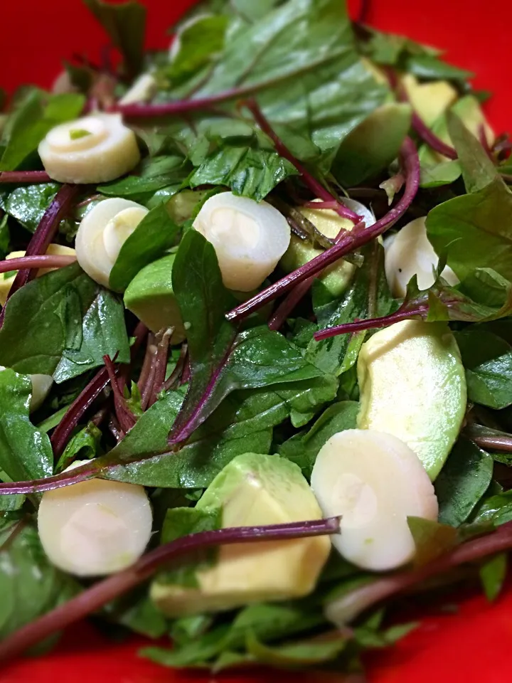 Ensalada de aguacates, palmitate with a coriander vinaigrette;))|aястасияさん