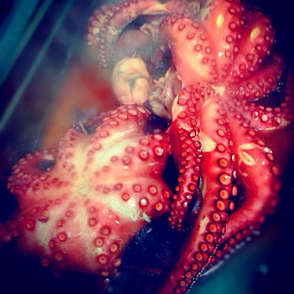 Just cook(#octopus #pulpo)|alif sophiyanさん