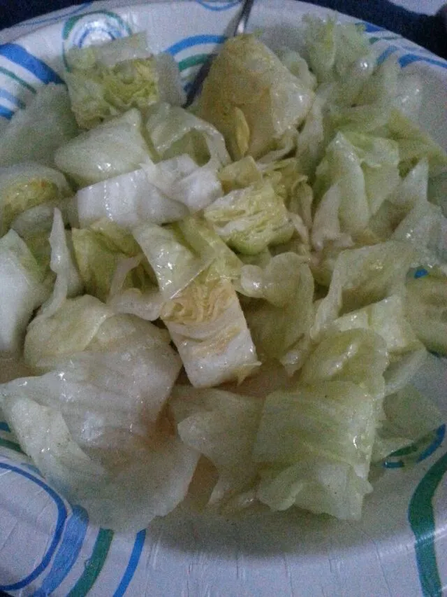 very plain salad.  ice berg lettuce with cucumber.  grapeseed oil,  fig infused white balsamic vinegar and spices.|Polly Gelfusoさん