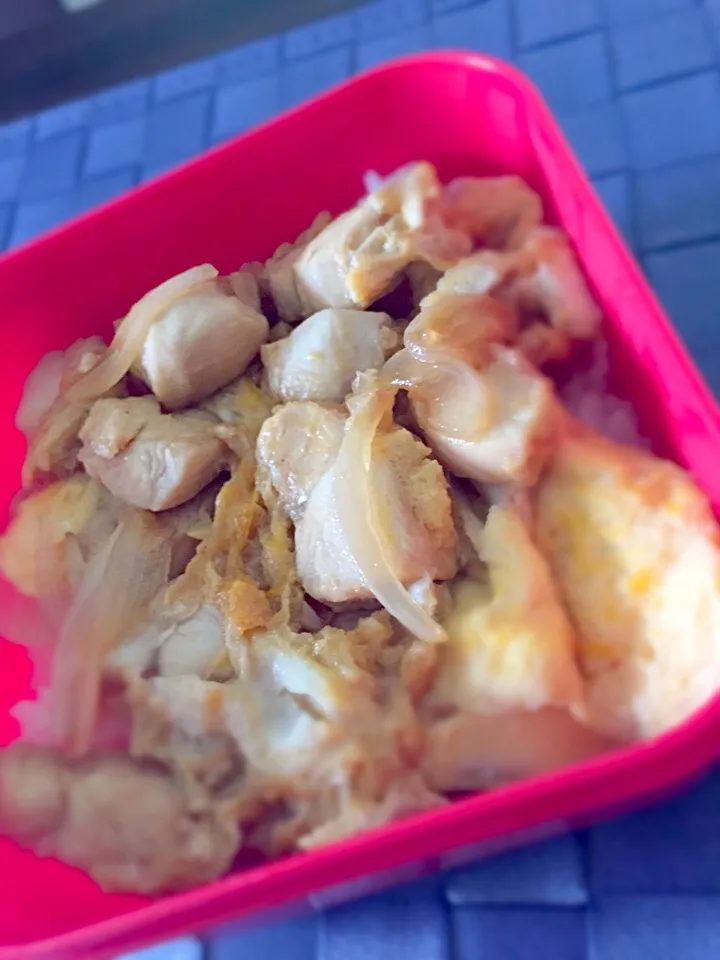 お弁当◎ 親子丼  彩りになるものが何にもなかった…😩|しょちちさん