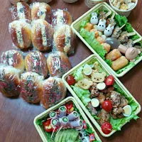 Snapdishの料理写真:お花見弁当