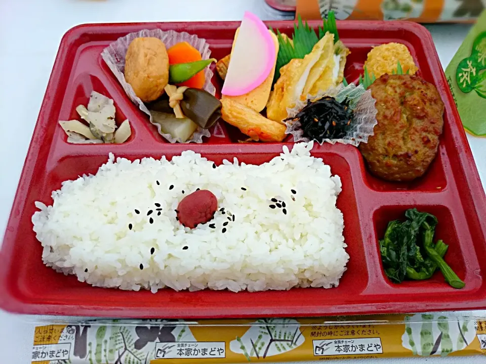 今日のお昼は 野外でお弁当♪|yokoさん