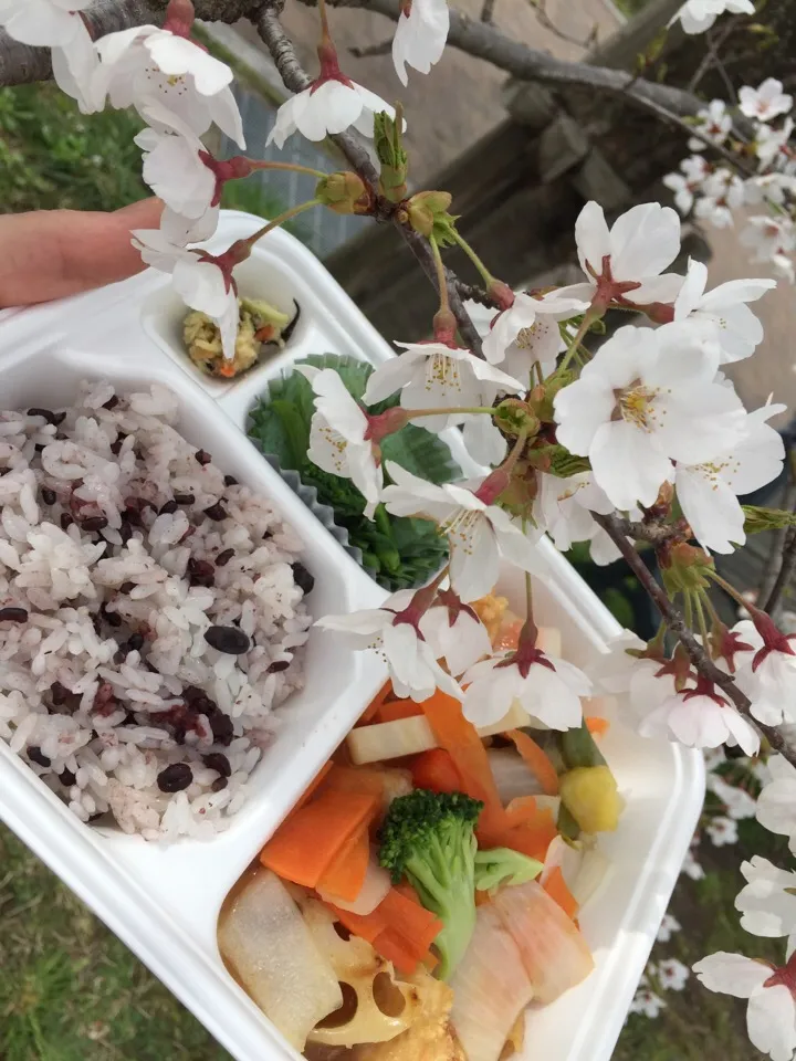 お花見弁当|お家でbar!さん