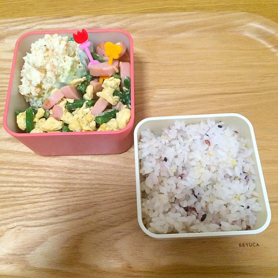 Snapdishの料理写真:桜海老のポテトサラダ/卵いため|akane☺︎さん