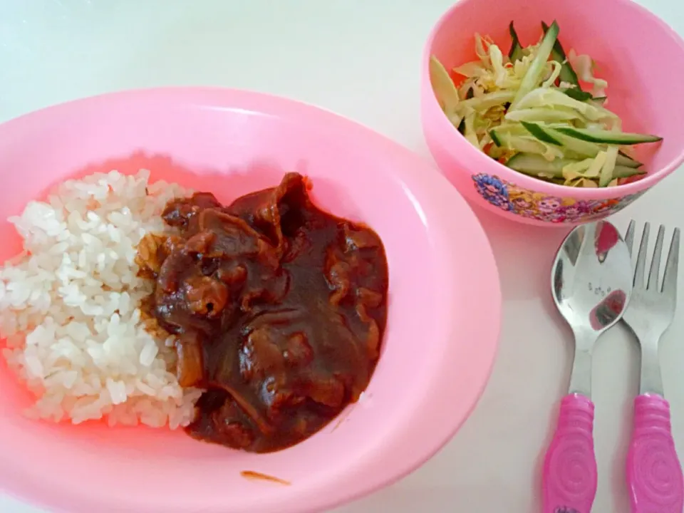 今日の留守番ご飯はハッシュドポークと春キャベツのサラダ♡4/19|ちび太さん