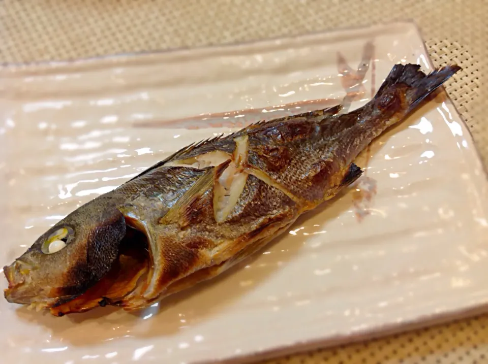 シンプルに「イサキの塩焼き🐟」😋|アライさんさん