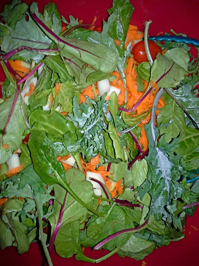 salad with kohlrabi and a mix of other vegetables|Dawn Nelsonさん