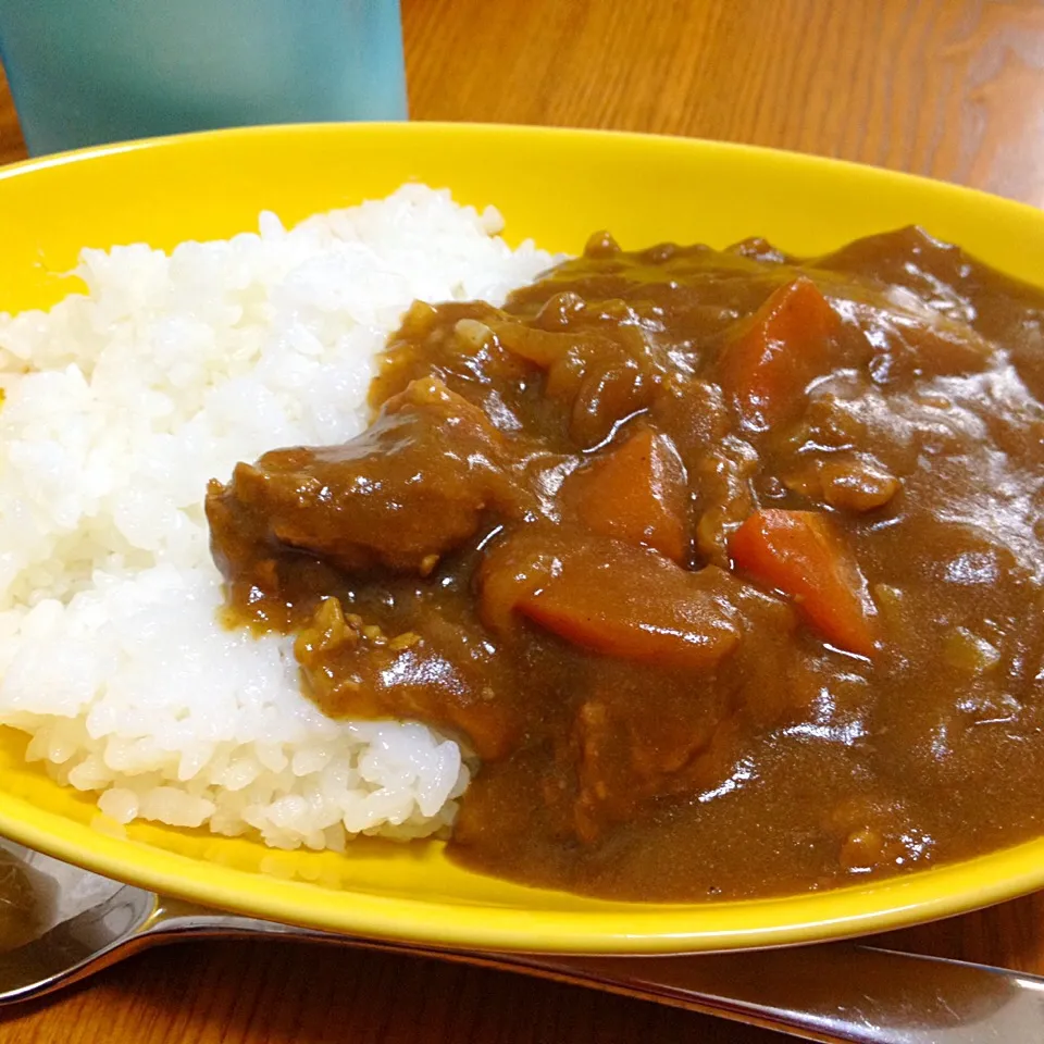 朝ZEPPINカレー|なお。さん