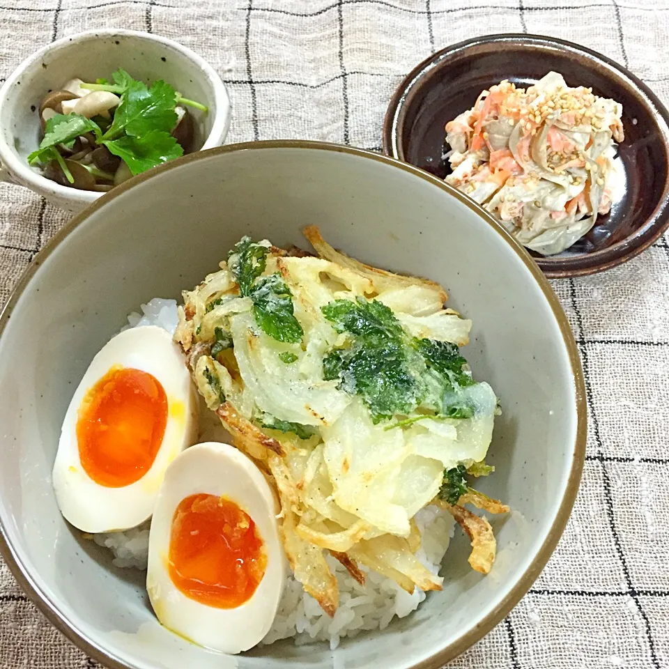 Snapdishの料理写真:新タマと三つ葉で、かき揚げ丼|アッツさん