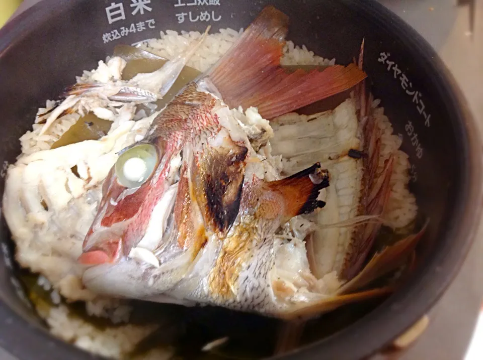 Snapdishの料理写真:ラストは、真鯛のアラで作った🐟鯛めし😋|アライさんさん