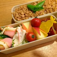 Snapdishの料理写真:そぼろ弁当