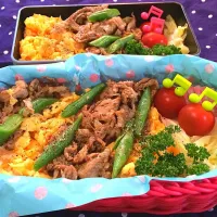 女の子弁当♪