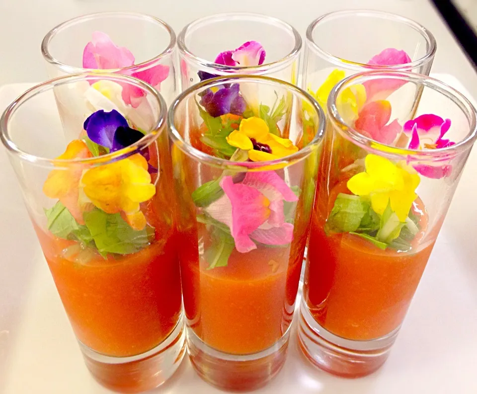 Campari and tomato shooter with edible flower|Sayakaさん